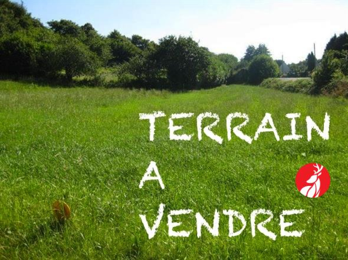 Photo principale