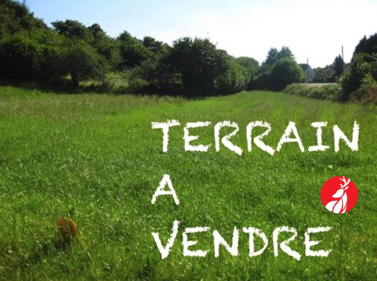 Photo principale