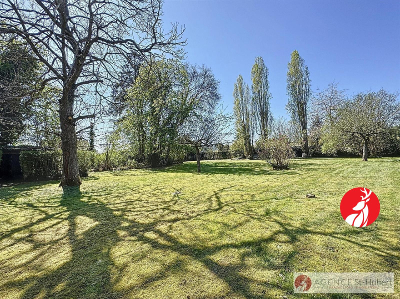 Terrain